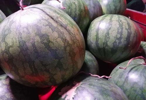 娱乐随拍吃瓜,随拍吃瓜，揭秘明星生活点滴