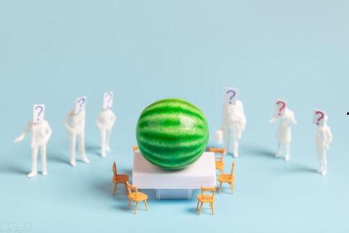 娱乐圈吃瓜汇总下载,揭秘明星幕后故事与热点事件