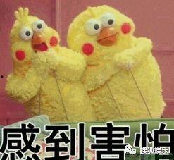 爱情是什么娱乐吃瓜酱,娱乐吃瓜酱视角下的情感盛宴